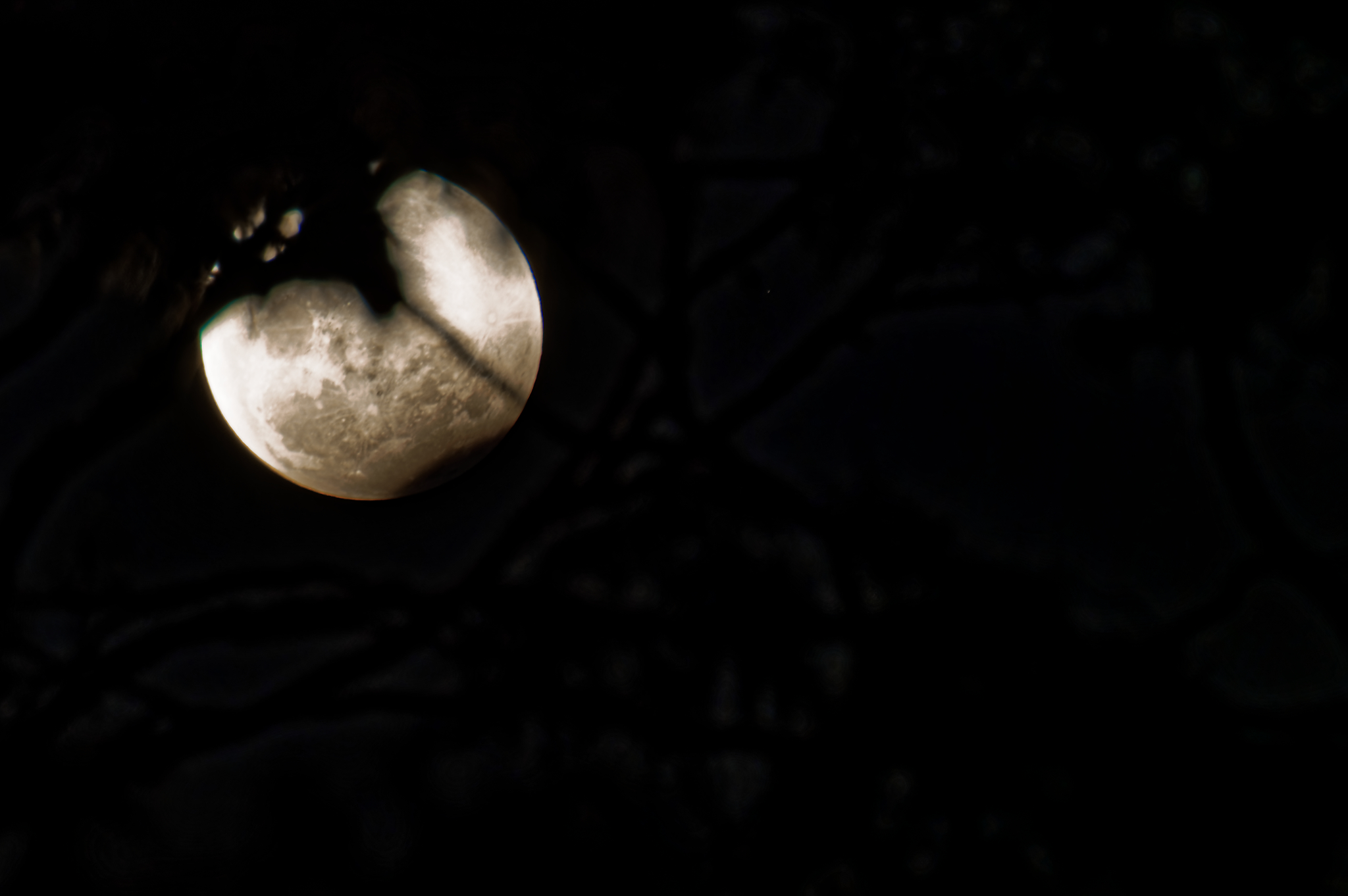 11 08 November 20 12 00fotosbyme